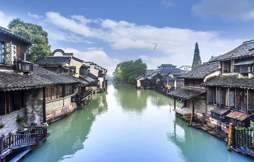 独步竹林